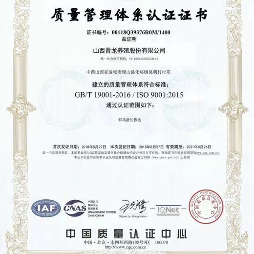 鸡蛋晋龙无抗蛋/盘 商品图8