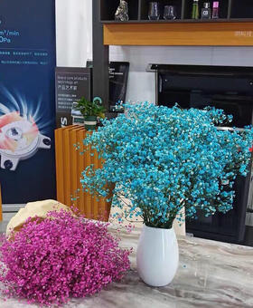 配花-国产满天星-蓝色