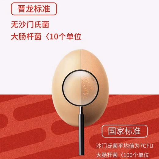 鸡蛋晋龙无抗蛋/盘 商品图1