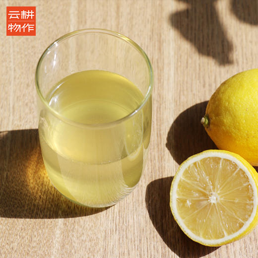 【崖蜜请放冰箱保存】黑大蜜蜂采集高山植物花蜜 350g/瓶 商品图3