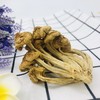 「厦航特供」古田十方优品 滑子菇70g 食用菌 干货 商品缩略图4