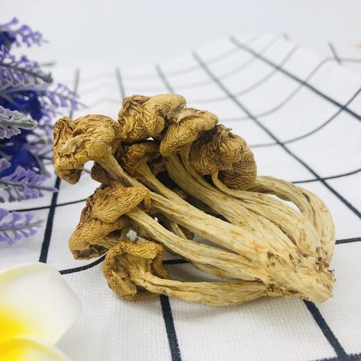 「厦航特供」古田十方优品 滑子菇70g 食用菌 干货 商品图4