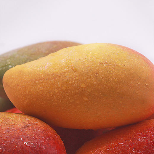 攀枝花红贵妃芒特大果大果中果 全国包邮 商品图5