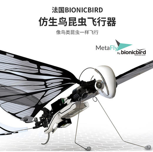 法国BionicBird MetaFly仿生昆虫遥控飞行器 商品图0