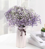 配花-国产满天星.紫色 商品缩略图1