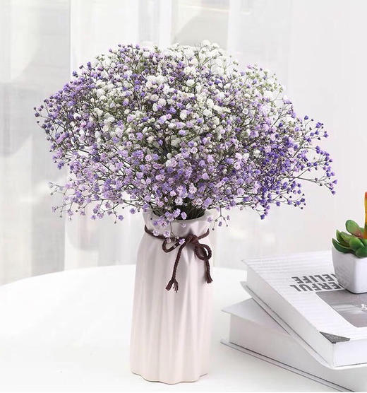 配花-国产满天星.紫色 商品图1