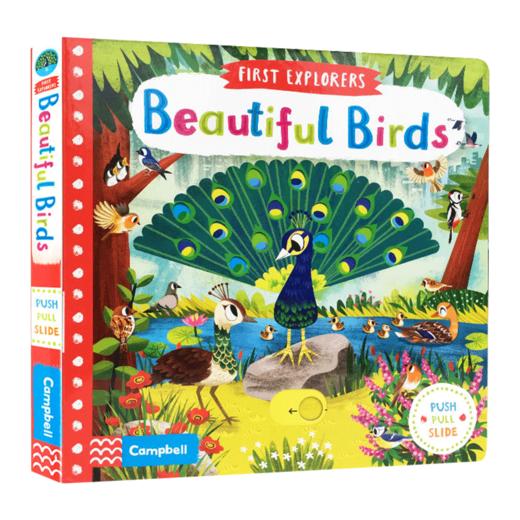 小小探索家系列 美丽的鸟儿英文原版绘本 First Explorers Beautiful Birds busy系列 幼儿探索启蒙英语纸板书 脑力益智开发游戏书 商品图0