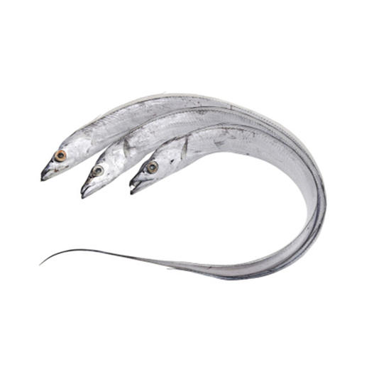 带鱼3-4【约400g】 商品图2