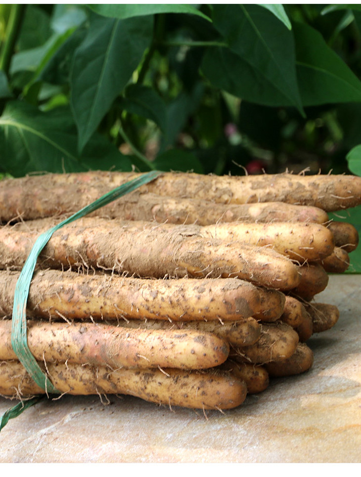 送礼必备密农人家白玉山药礼盒皮薄肉糯5斤包邮装