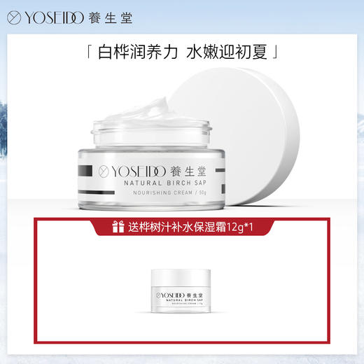 养生堂天然桦树汁补水保湿霜面霜50g滋润修护不油腻深补水易吸收 商品图0