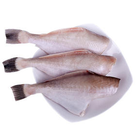 小耗儿鱼【约500g】
