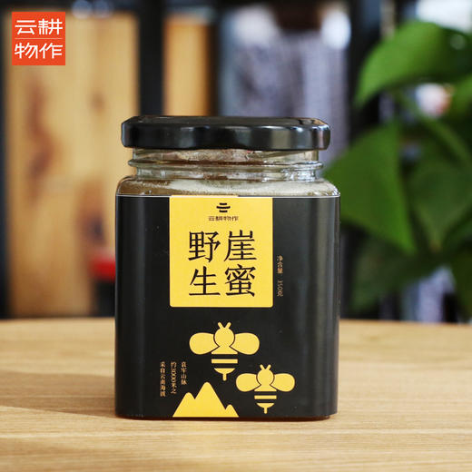 【崖蜜请放冰箱保存】黑大蜜蜂采集高山植物花蜜 350g/瓶 商品图4