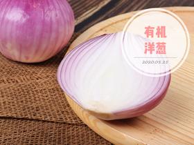 精选 有机农场  有机洋葱  约400克