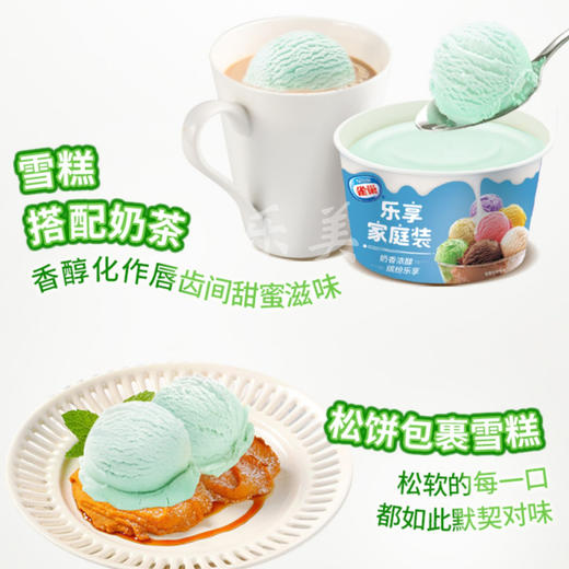 雀巢家庭装0.5l雪糕香草味/巧克力味/芒果味/哈密瓜味家庭装雪糕255g 商品图1