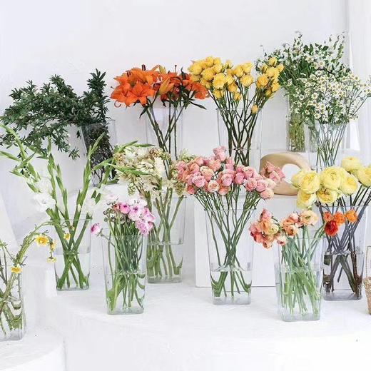 透明方桶--省内满299元包邮，省外运费自理 商品图3