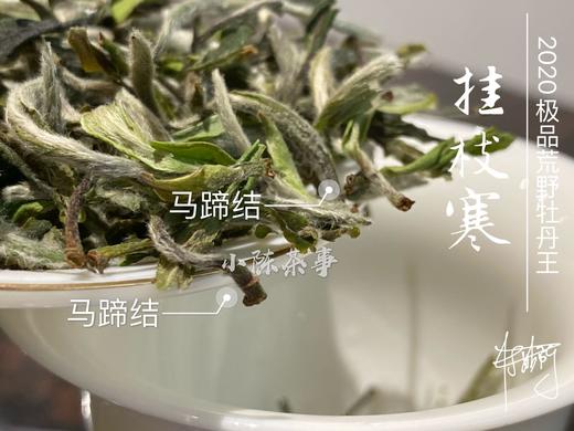 2020荒野牡丹王中的特级（60克罐装），花香与毫香中蕴在挂枝寒意里的温柔汤 商品图6