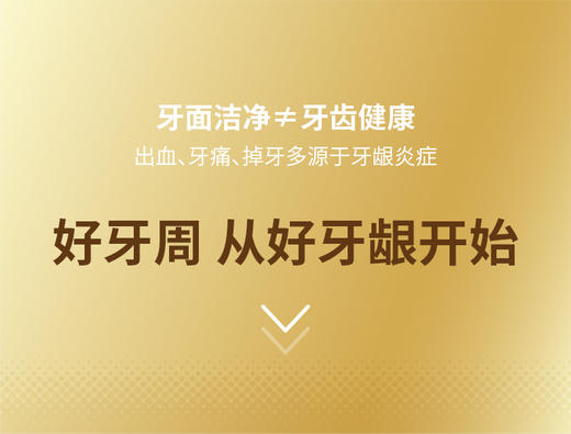 刷出闪亮大白牙！日本EBISU/惠百施宽头软毛牙刷 增大清洁范围 深入牙缝牙龈 消除牙齿蛀牙 牙菌斑沉淀隐患 彻底清洁牙釉质 让牙缝污垢无处藏身 百年历史 匠人精神 3支减10元，9支减30元 商品图5