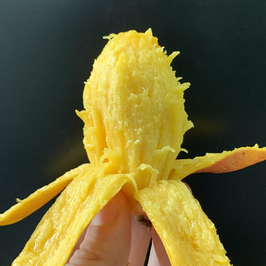 元江树上熟小金凤凰芒果5斤/8斤 商品图4