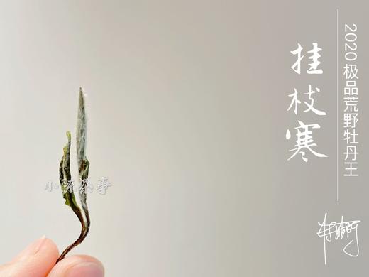 2020荒野牡丹王中的特级（60克罐装），花香与毫香中蕴在挂枝寒意里的温柔汤 商品图1