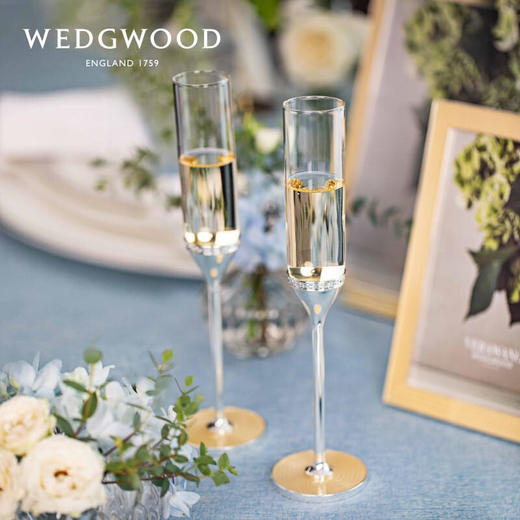 WEDGWOOD王薇薇VeraWang真爱相随银色香槟杯 商品图0