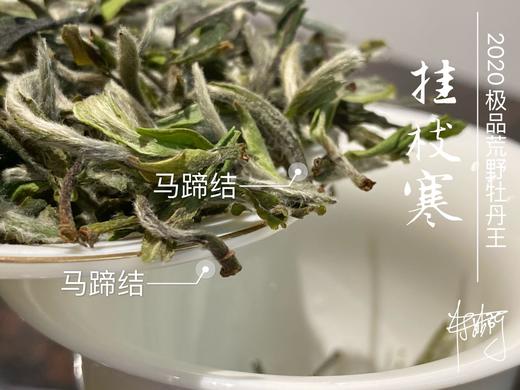 2020荒野牡丹王中的特级（60克罐装），花香与毫香中蕴在挂枝寒意里的温柔汤 商品图5