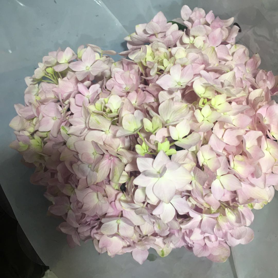 配花-绣球-浅粉-1支/扎