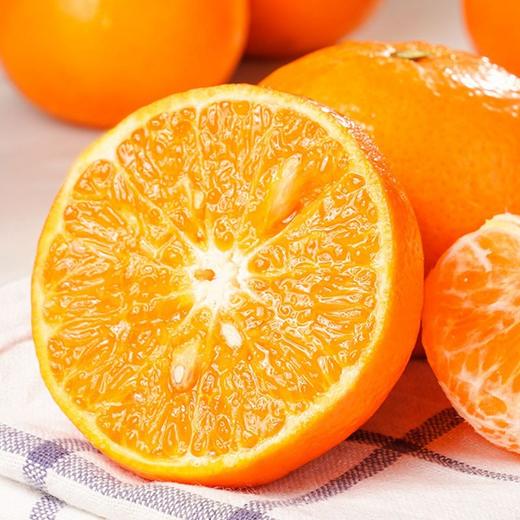 【云南苍山洱海荣柑】10个装， 皮薄甘甜多汁 商品图0