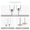 WEDGWOOD王薇薇VeraWang真爱相随银色香槟杯 商品缩略图1