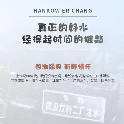 励志汽水（荔枝味） 汉口二厂 HANKOW ER CHANG 275ml 商品图2
