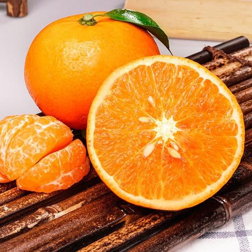 【云南苍山洱海荣柑】10个装， 皮薄甘甜多汁 商品图1