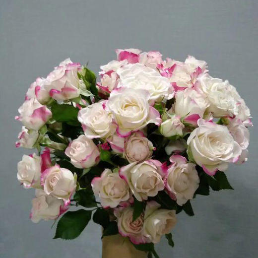 折射 多头玫瑰65CM 商品图1