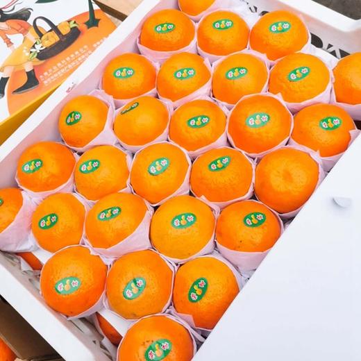 【云南苍山洱海荣柑】10个装， 皮薄甘甜多汁 商品图3