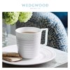 WEDGWOOD玮致活意大利浮雕骨瓷马克杯咖啡茶水杯礼盒5C104003980 商品缩略图2