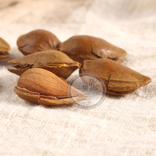 【一朵一果】开口小银杏 200g