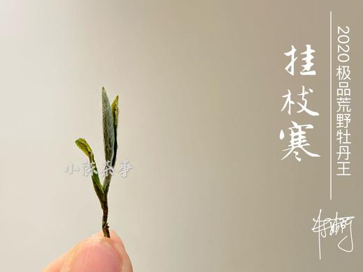 2020荒野牡丹王中的特级（60克罐装），花香与毫香中蕴在挂枝寒意里的温柔汤 商品图2