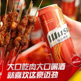 乌苏啤酒 WUSU 红乌苏易拉罐500mL