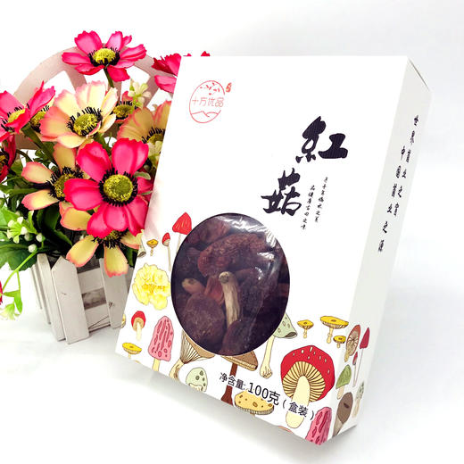 「厦航特供」古田十方优品 红菇100g 食用菌 干货 商品图0
