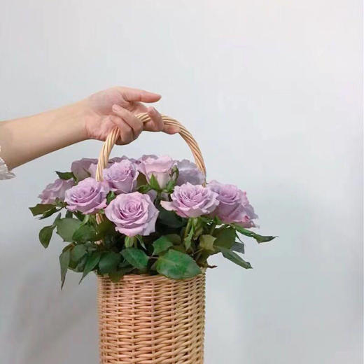 玫瑰 海洋之歌 C级 商品图2