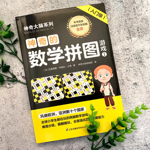 神奇的数学拼图游戏 1(入门级) 商品图1
