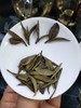【茶馆茶叶】【北方佳人】第14款丨甄选鲜白茶丨浅绿色茶汤、融合花香的滋味、鲜香甜 商品缩略图2
