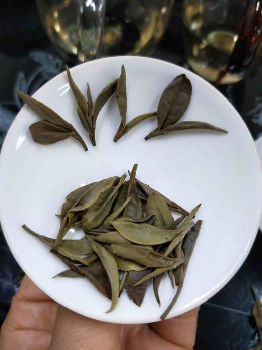 【茶馆茶叶】【北方佳人】第14款丨甄选鲜白茶丨浅绿色茶汤、融合花香的滋味、鲜香甜 商品图2