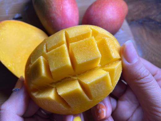 元江树上熟小金凤凰芒果5斤/8斤 商品图1