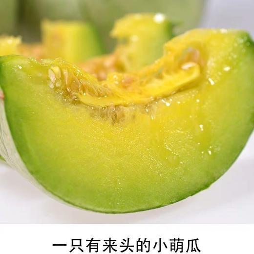 头茬绿宝石脆皮甜瓜 2/5斤装  中大果 商品图10