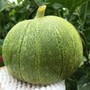 头茬绿宝石脆皮甜瓜 2/5斤装  中大果 商品缩略图11