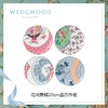 WEDGWOOD玮致活花间舞蝶20cm盘子四件组骨瓷餐盘餐具欧式礼盒套装5C107800053 商品缩略图0