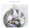 WEDGWOOD玮致活丝绸之路15.5cm米饭碗骨瓷餐碗礼盒50102602031 商品缩略图2