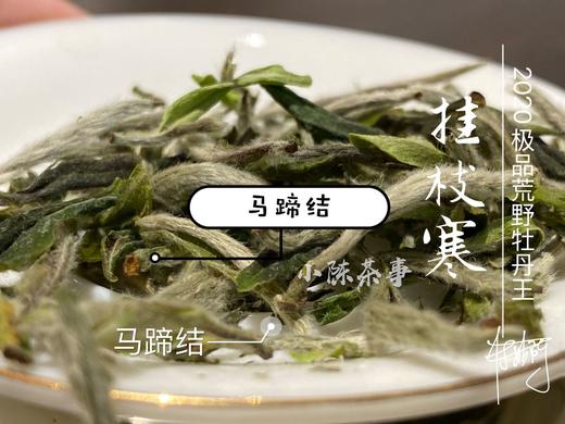 2020荒野牡丹王中的特级（60克罐装），花香与毫香中蕴在挂枝寒意里的温柔汤 商品图7