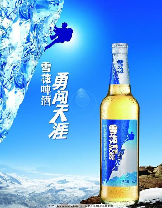 【19.9元/箱】雪花勇闯天涯啤酒（箱）500ml*6瓶（050103402） 商品图1