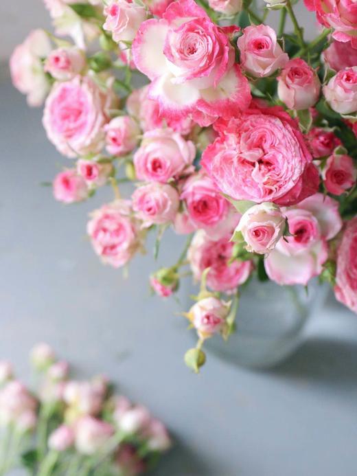 寻找下一个简小姐（今生卖花，来世漂亮） 商品图4