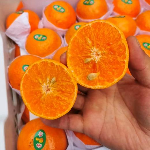 【云南苍山洱海荣柑】10个装， 皮薄甘甜多汁 商品图4